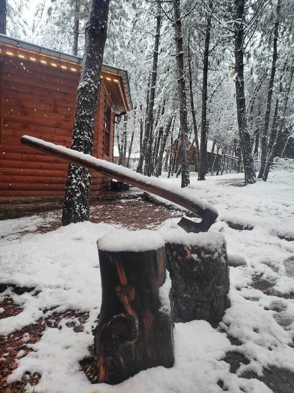 Campinari Doga Evleri And Restaurant(63Km Away From Bolu)