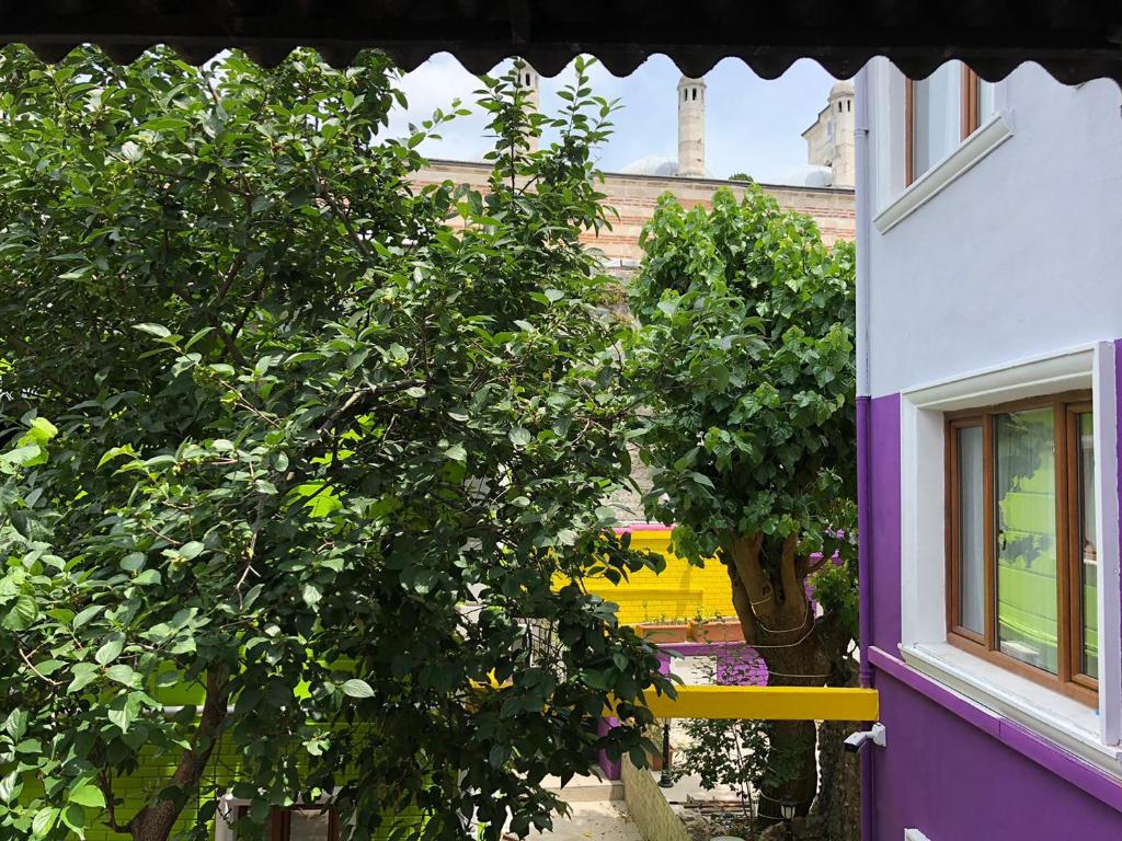 The Zanadu Istanbul