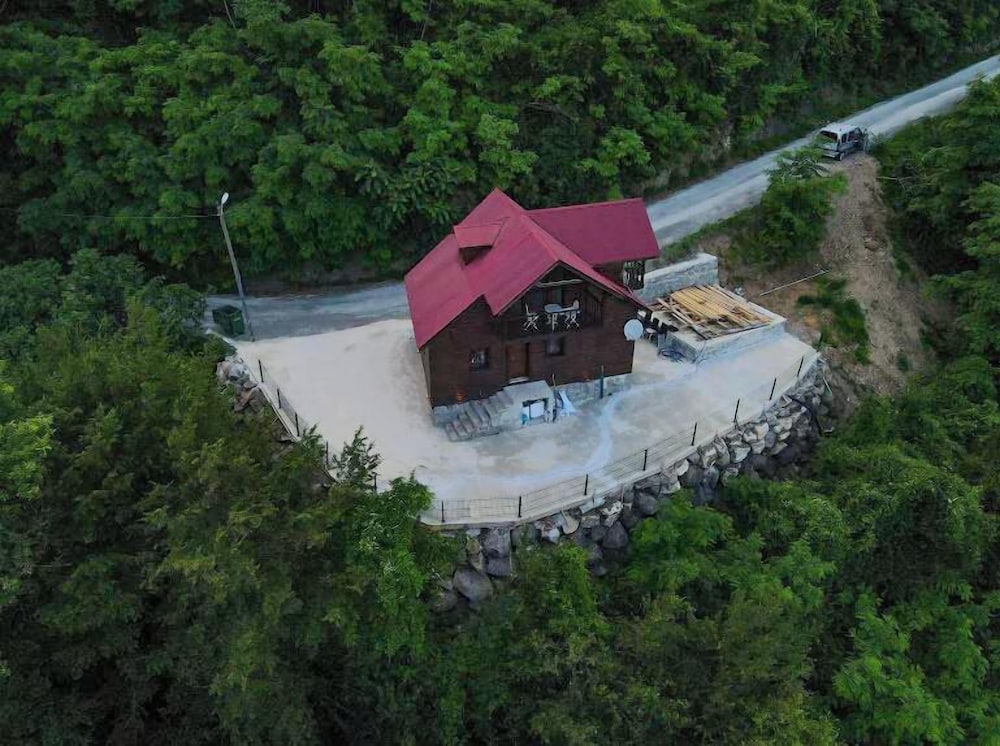 Diamond Tree House