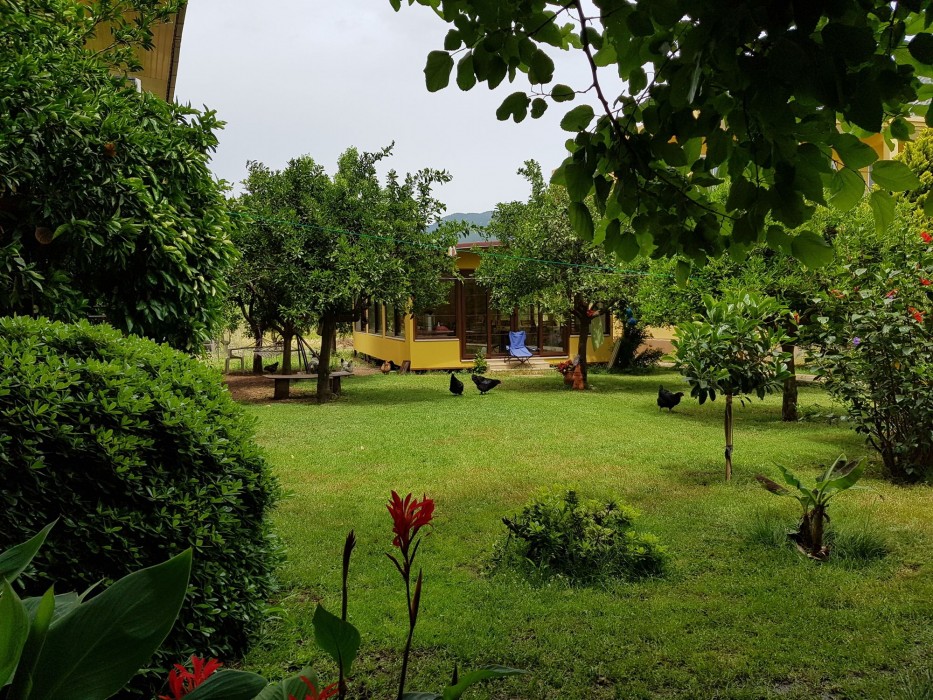 Narcicegi Otel