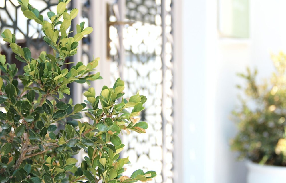 Fatih Apart Hotel(also Known As Fatih Apartments)(83 Km Away From Marmaris)