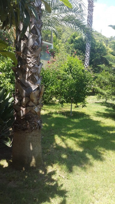 Cirali Hotel (77 Km Away From Antalya)
