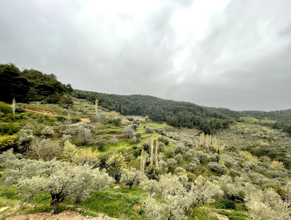 Ephesus Retreat
