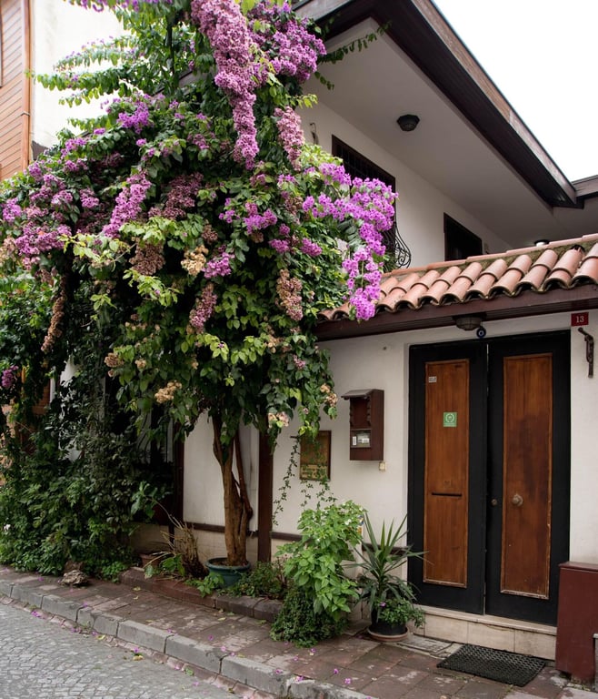 Villa Sphendone