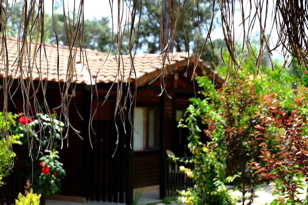 Koala Bungalows (limited Hour Front Desk) (79 Km Away From Antalya)