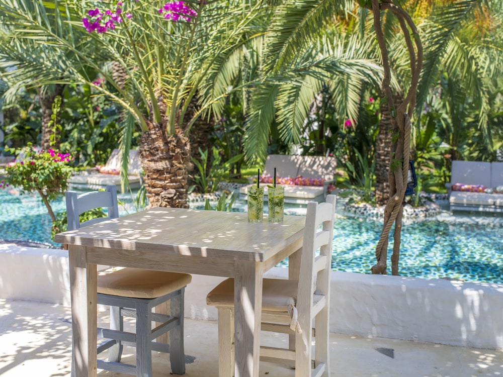 Flamingo Hotel And Spa Pet Friendly(Also Known As Flamingo Hotel)