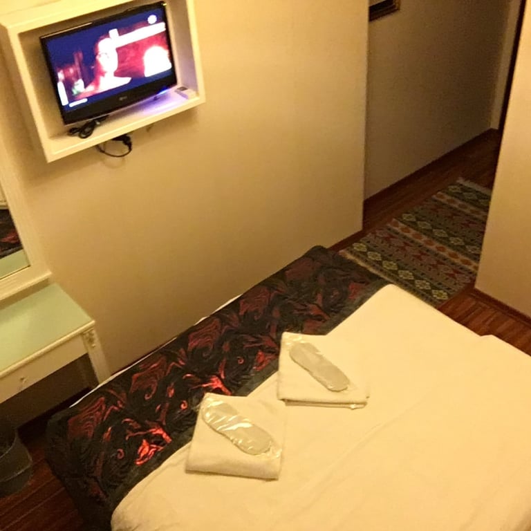 Nehrin Hotel