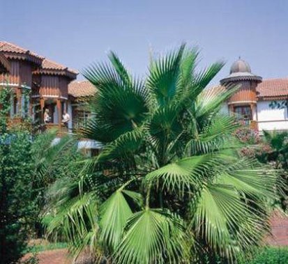 Gural Premier Belek All Inclusive (41km Away From Antalya)