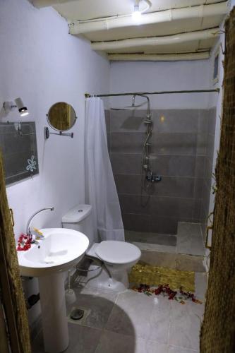 Bedouin Lodge Luxor
