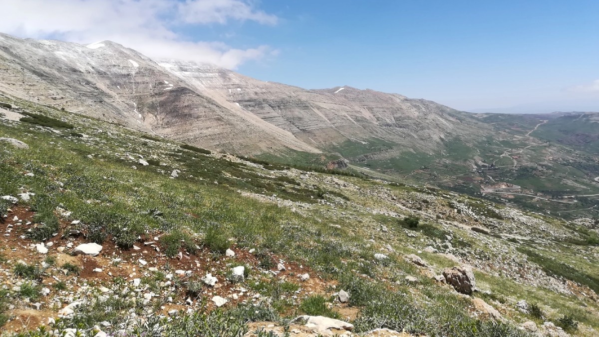 جبل صنين في لبنان