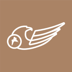 Hawk Air (BH)