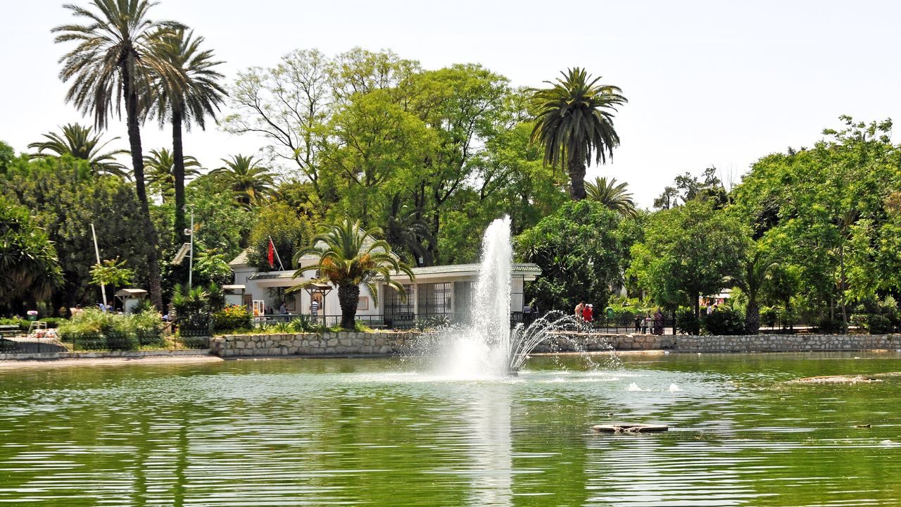 Fountain and palm trees in Belvedere Park in Tunis, Tunisia