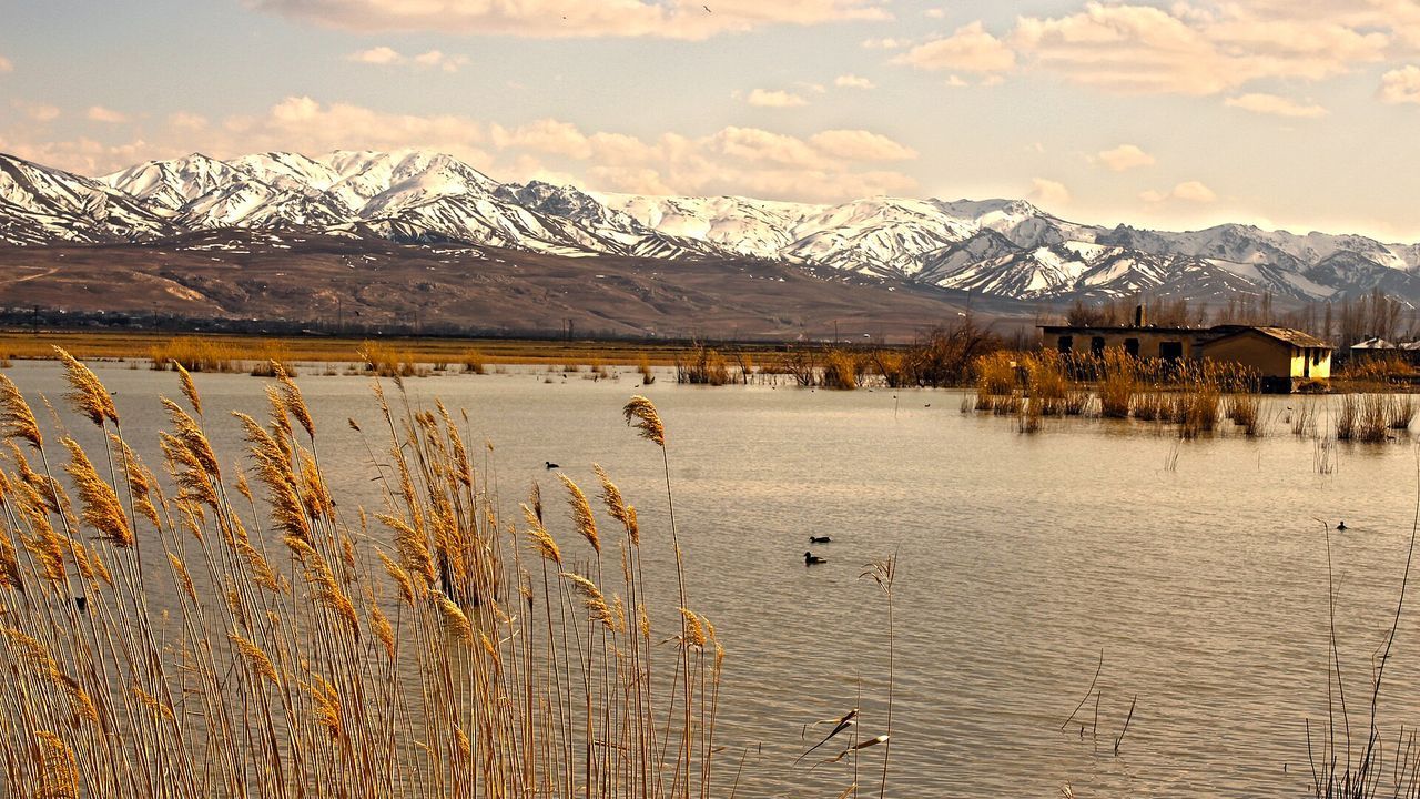 Erçek Lake wetlands and bird sanctuary near Van