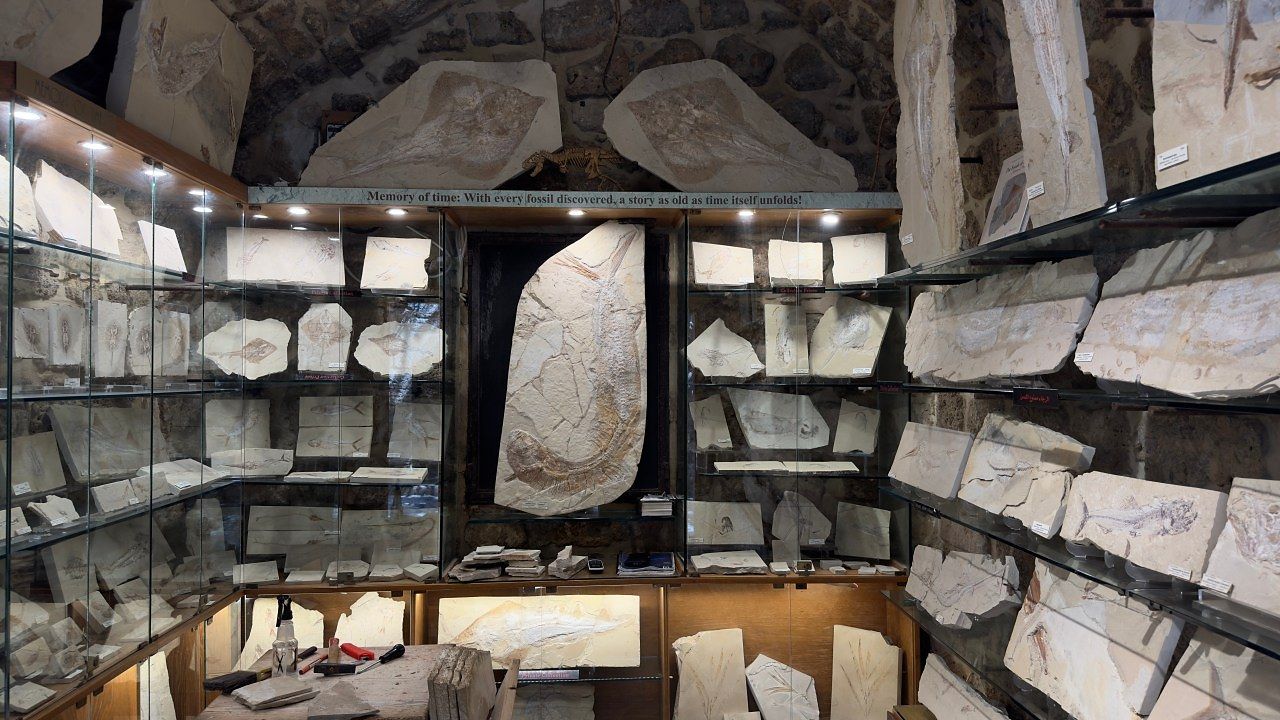 Fossil fish displays inside the Memory of Time Museum in Byblos