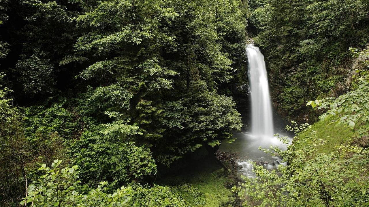 ALT: Palovit Waterfall cascading through dense green forest near Camlihemsin