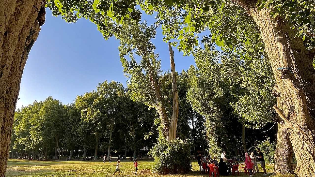 Green parkland and mature trees at Ras al-Ain in Baalbek, Lebanon