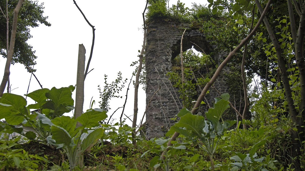 Historic stone remains of Rize Castle surrounded by dense vegetation