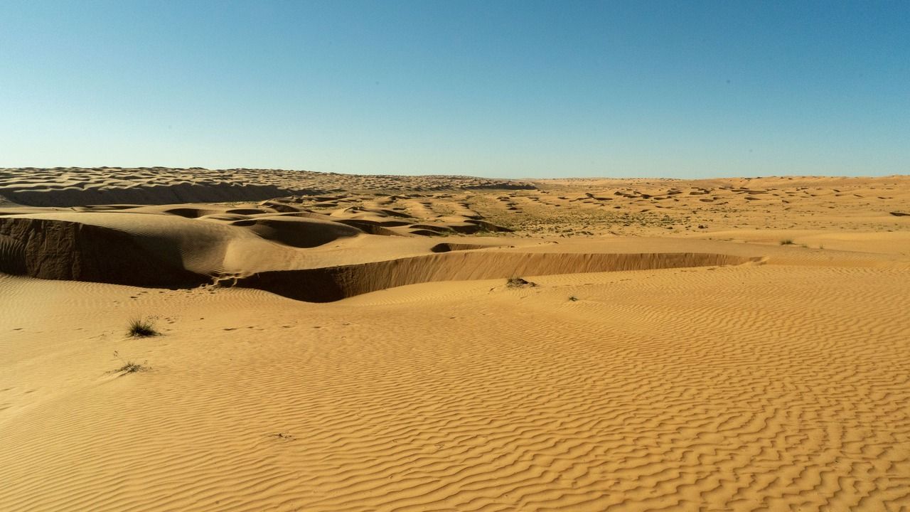 Wide panoramic view of golden sand dunes across Sharqiya Sands in Oman under a clear blue sky.