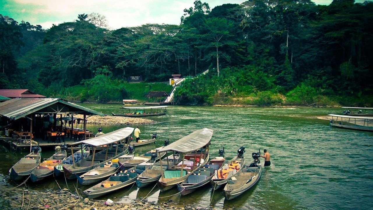 Traditional boats on a river surrounded by lush tropical rainforest in Taman Negara National Park, Malaysia.