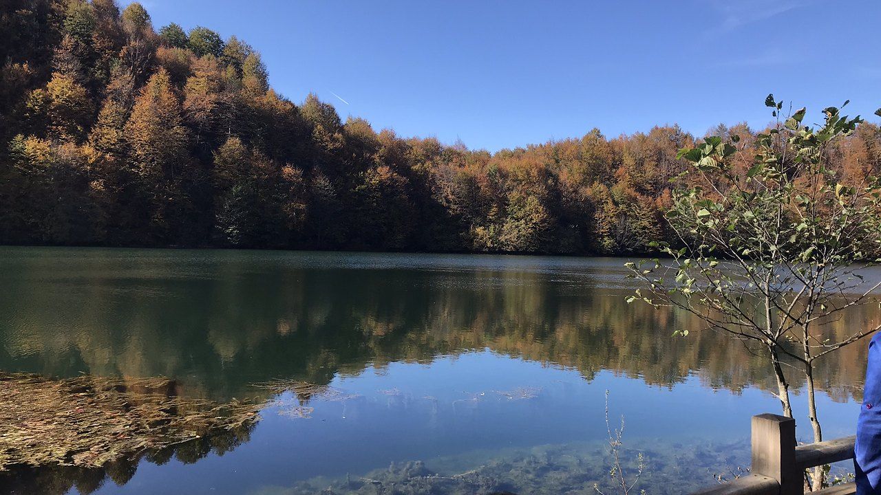Autumn forest reflected in the calm waters of Ulugöl Nature Park