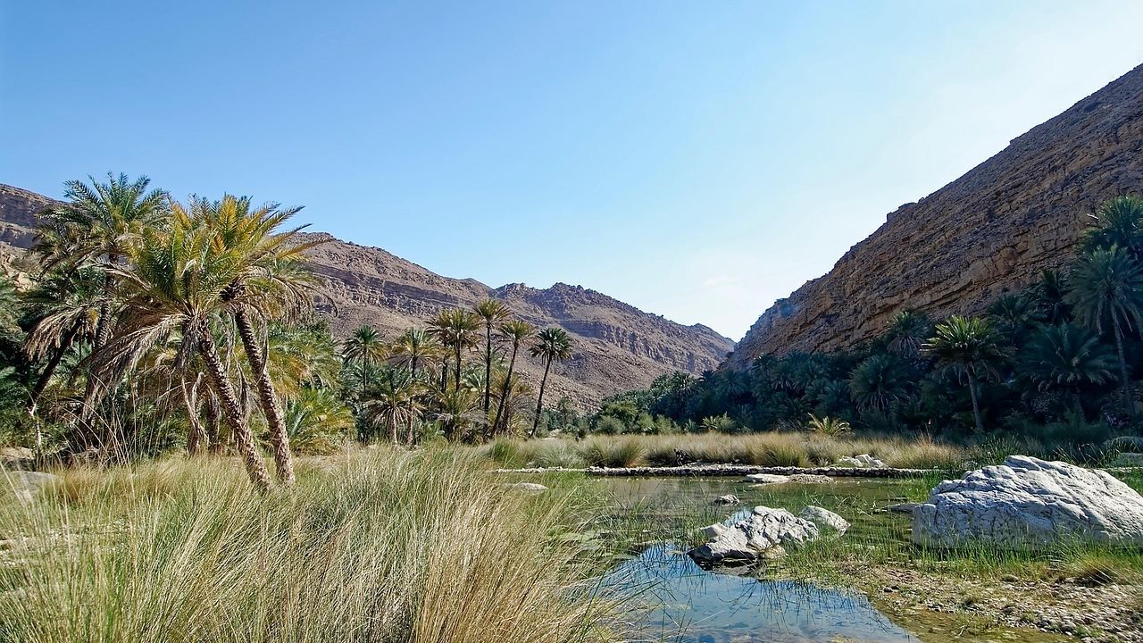 Wide scenic view of Wadi Bani Khalid oasis with palm trees, clear water and rugged mountains in Oman.